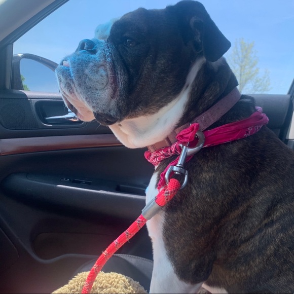 Meet your Posher, Noel - Picture 16 of 16